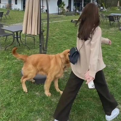 小牧人